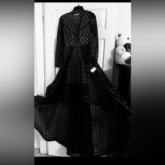 Envious Couture sizes 2, 4 Hoarse Hair Trim Sequin High Low Cocktail - Picture 1 of 2